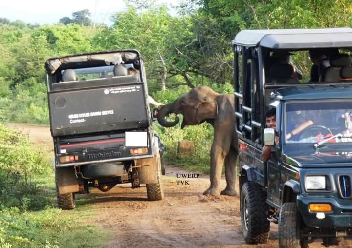 Nature World Jungle Paradise Udawalawe Εξωτερικό φωτογραφία